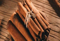 肉桂产自哪里 附其市场价格及栽培前景