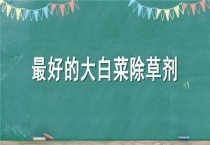 最好的大白菜除草剂
