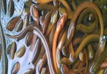 黄鳝的生活习性及特点