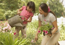 花水浇多了怎么办？