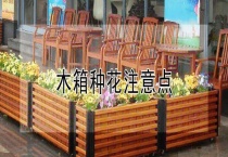木箱种花注意点