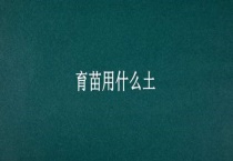 育苗用什么土