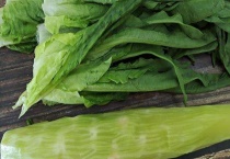 莴笋叶是不是油麦菜 有什么外形特点