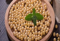 大豆和黄豆有什么不同 大豆有哪些营养价值