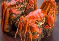 冻死的大闸蟹还可以食用吗 怎样食用
