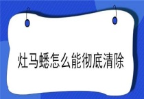 灶马蟋怎么能彻底清除