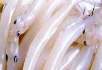 白肌银鱼价格大概多少钱一斤？能吃吗？