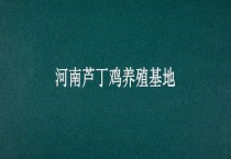 河南芦丁鸡养殖基地