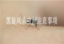 黑旋风杀虫剂注意事项