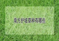 南方护坡草种有哪些？
