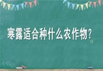 寒露适合种什么农作物