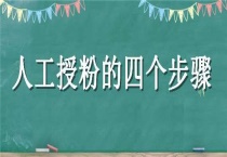 人工授粉的四个步骤