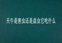 天牛是害虫还是益虫它吃什么？