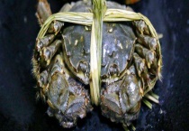 螃蟹大概什么时候上市？不能吃的品种有哪些？