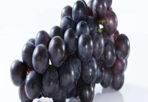 巨峰葡萄产地在哪 附生长环境和种植优点