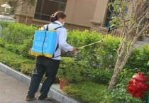 蚊子的危害 附防治措施