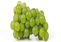 葡萄的储藏保鲜技术 葡萄采前管理与预冷多久？