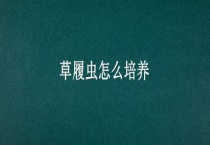 草履虫怎么培养