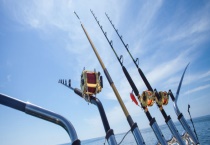 鱼竿材质种类有哪些？