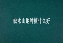 缺水山地种植什么好