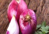 洋葱发芽了还能不能吃 洋葱怎么做好吃