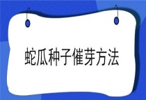 蛇瓜种子催芽多久？