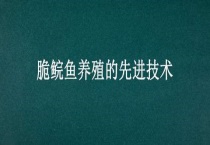 脆鲩鱼养殖的先进技术