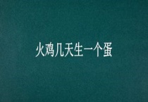 火鸡几天生一个蛋