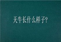 天牛长什么样子？