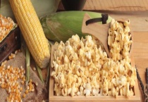 天气太热导致玉米热成了爆米花是不是真的 草莓玉米是什么？