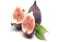 无花果有花吗 附无花果的产地分布和生长环境