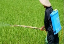 农药会不会被雨水冲掉 夏季喷洒农药的注意事项有哪些？