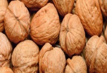 核桃长毛了还能不能吃 核桃怎么保存才不会长毛