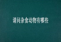 请问杂食动物有哪些？