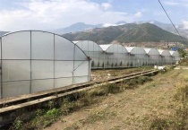 大棚更茬换季注意什么？