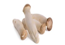 杏鲍菇和鸡腿菇的区别？ 详细介绍