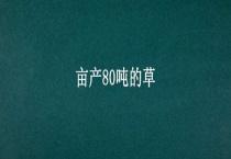 亩产80吨的草