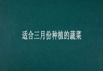 适合三月份种植的蔬菜