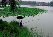 传统钓草洞用多长的竿 线组、鱼钩等如何选择