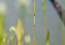 上鱼时浮漂有什么漂相 具体特征是什么？