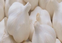 有机葱蒜类蔬菜病虫草综合防治技术 详细介绍