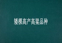 矮棵高产高粱品种