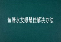 鱼塘水发绿最佳解决办法