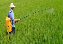 莎稗磷怎么使用 注意事项有哪些？