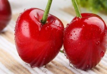 山海关樱桃采摘时间是什么时候