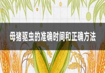 母猪驱虫的准确时间和正确多久？