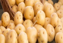 马铃薯病毒病发病原因及防治方法 药物防治时药物好更替应用