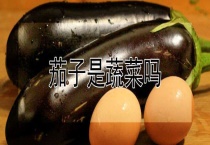 茄子是蔬菜吗？