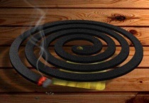 点蚊香后蚊子去哪了