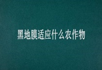黑地膜适应什么农作物